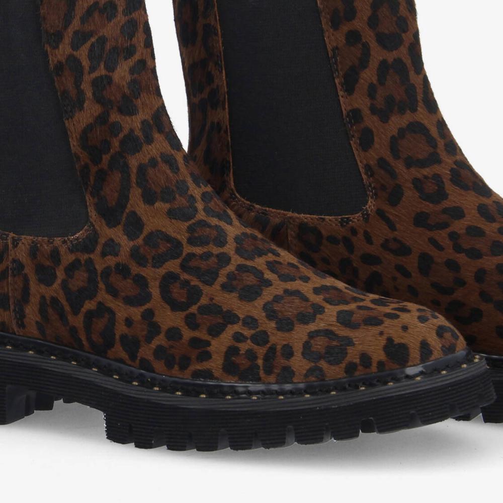SCHMOOVE — mysen-chelsea-w-pony-leo-marron