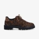 Vignette